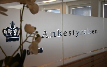 Ankeskema