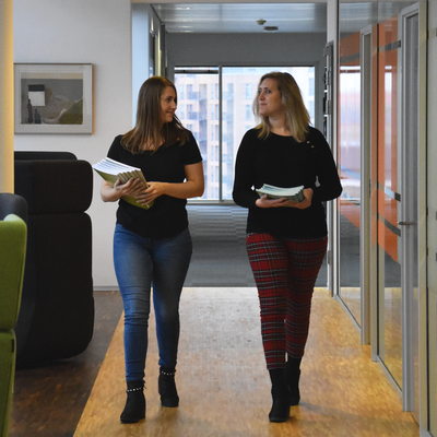Ankestyrelsen som arbejdsplads